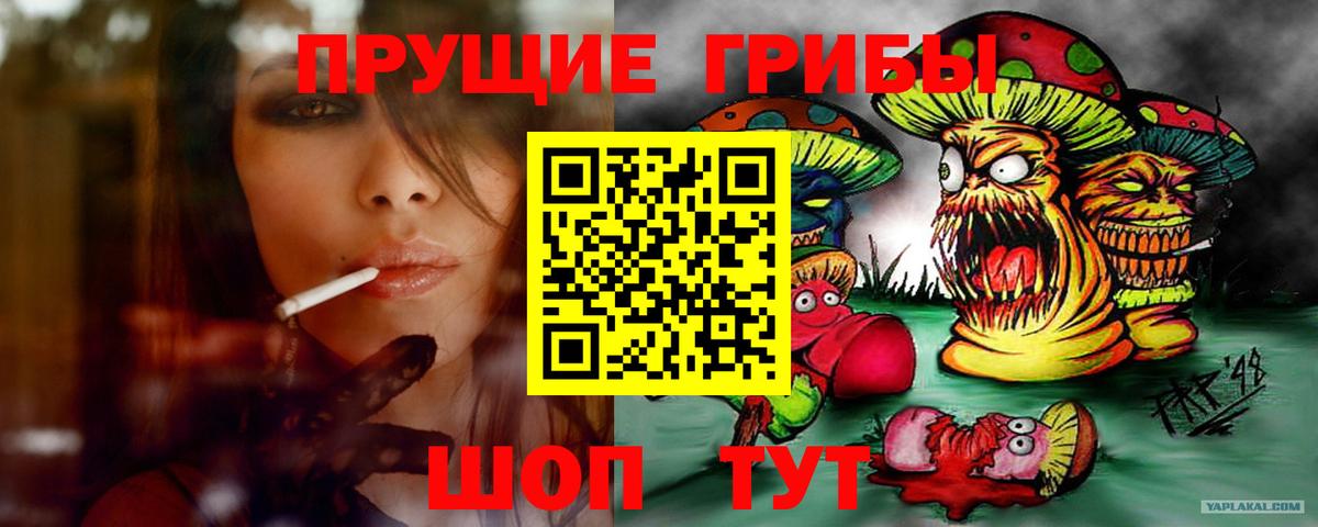 Галлюциногенные грибы Psilocybine cubensis  Псилоцибиновые грибы мицелий  Крымск  Вход с VPN 